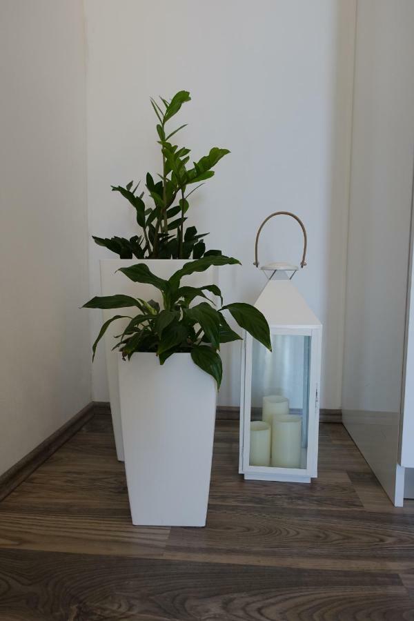 Apartman Maja Bol Bagian luar foto